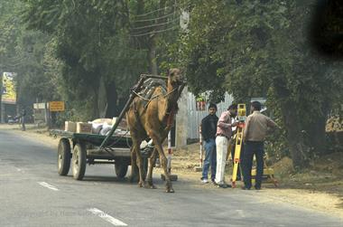 02 PKW-Reise_Delhi-Mandawa_DSC2427_b_H600